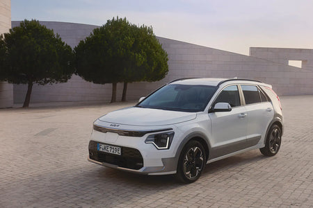 Kia E-Niro charging cable (2020-2021)