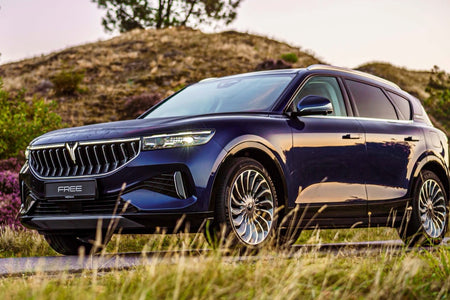 Charging cable Voyah Free